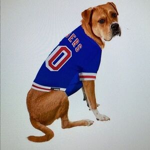 Rangers Blue Team Jersey